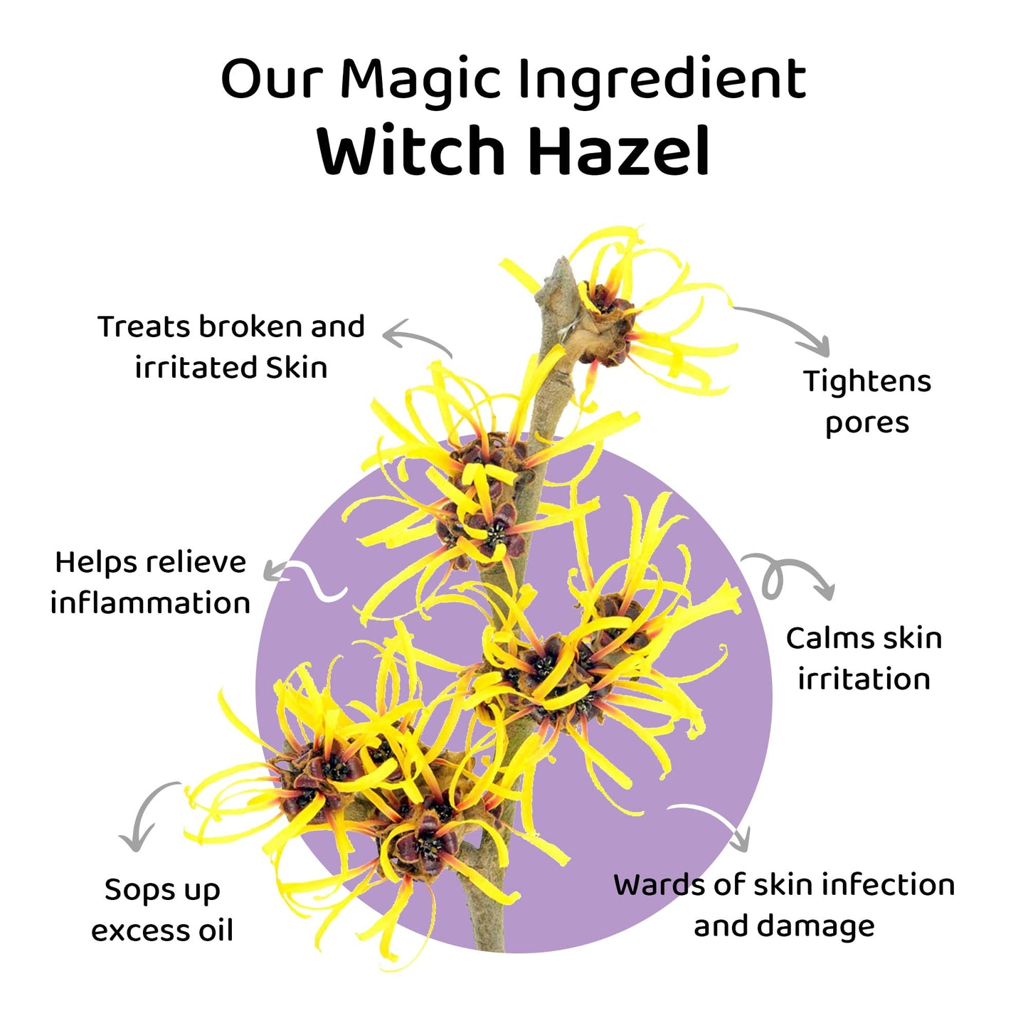 Elitty Red Pop Colour Eyeliner, Metallic Finish | Long Lasting, Water Proof, Smudge Proof | Amla and Almond oil enriched| Vegan & Cruelty Free, Easy Application, Liquid Eyeliner (Lunar Magic) - 4ml - SaumyasStore