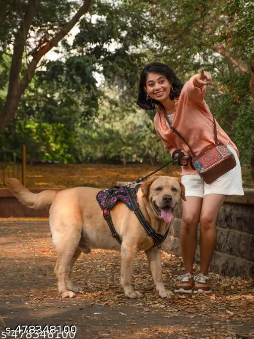 Zouk Multicolor Mandala Print OOO Sling Bag