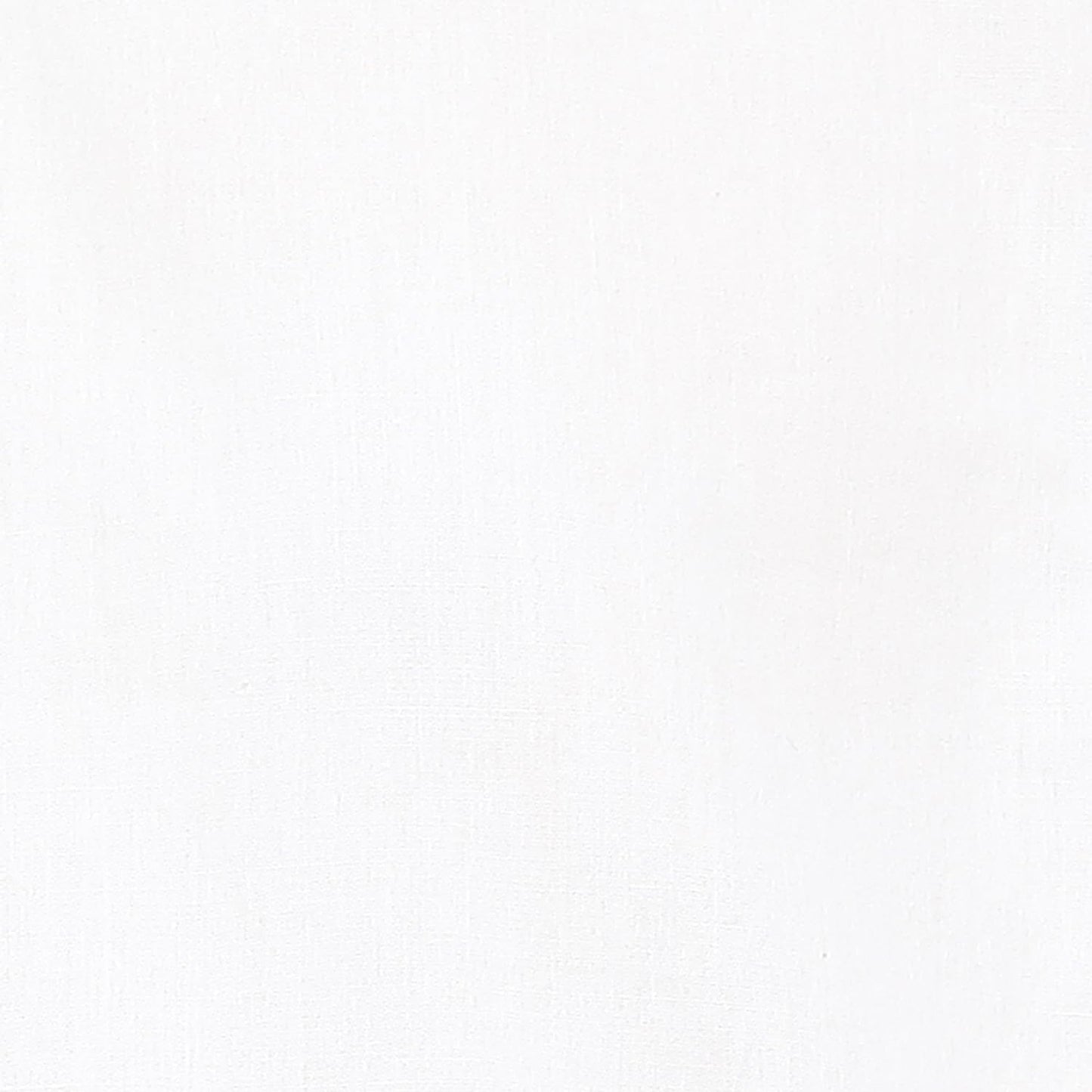 Pepe Jeans Women's Regular Fit Shirt (PL304742_White - SaumyasStore